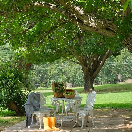 St Fort Farm Guesthouse كلارينس المظهر الخارجي الصورة
