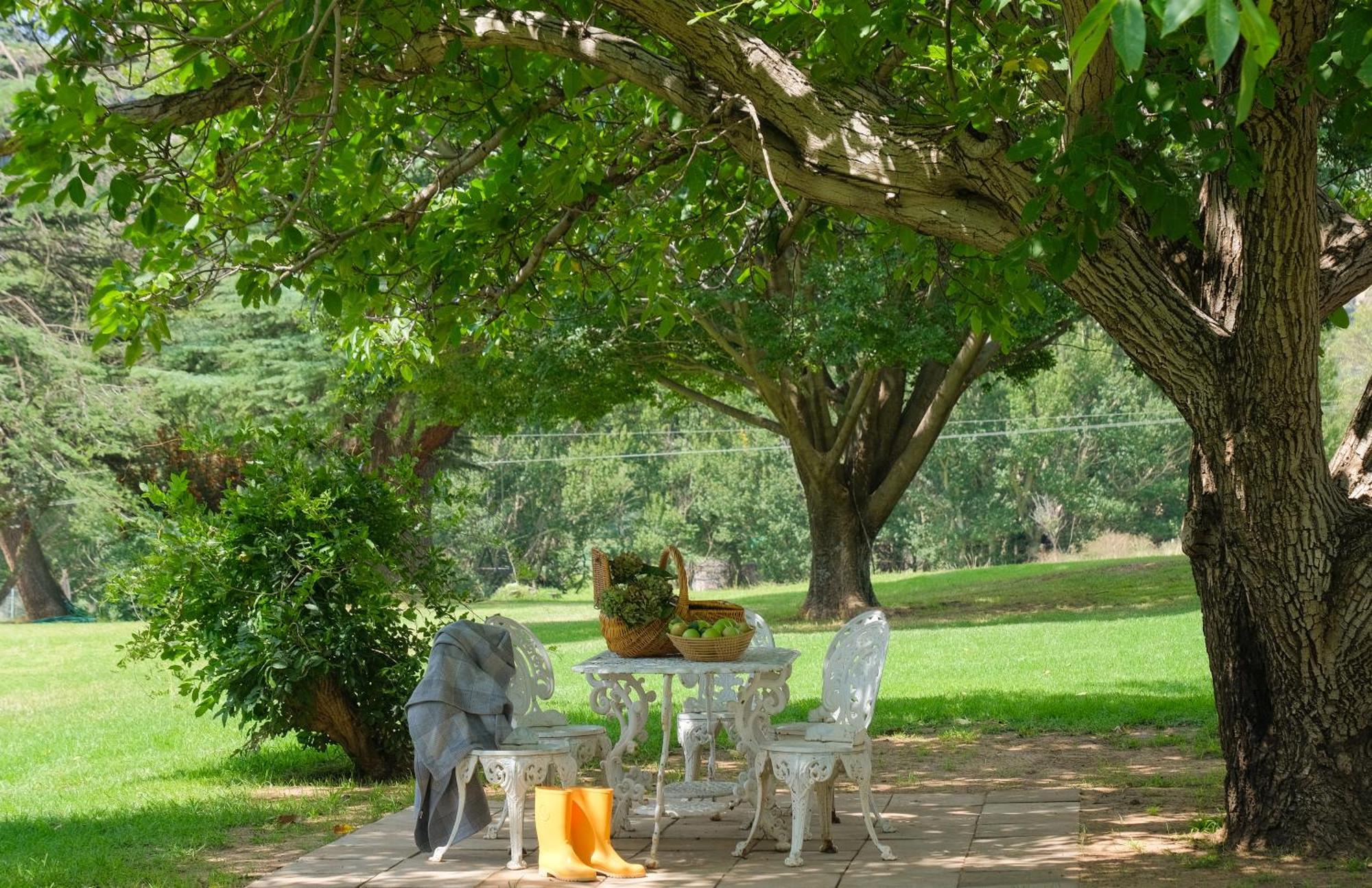 St Fort Farm Guesthouse كلارينس المظهر الخارجي الصورة